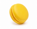 Gomme Modèle 04